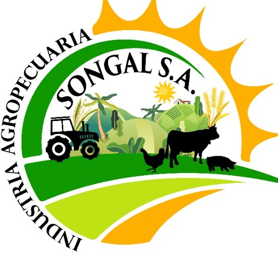 Songal S.A.